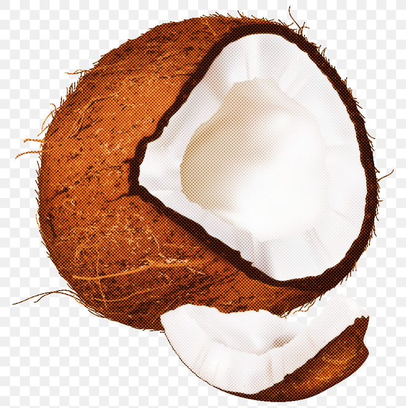 Coconut, PNG, 792x824px, Coconut, Coconut Cream Download Free