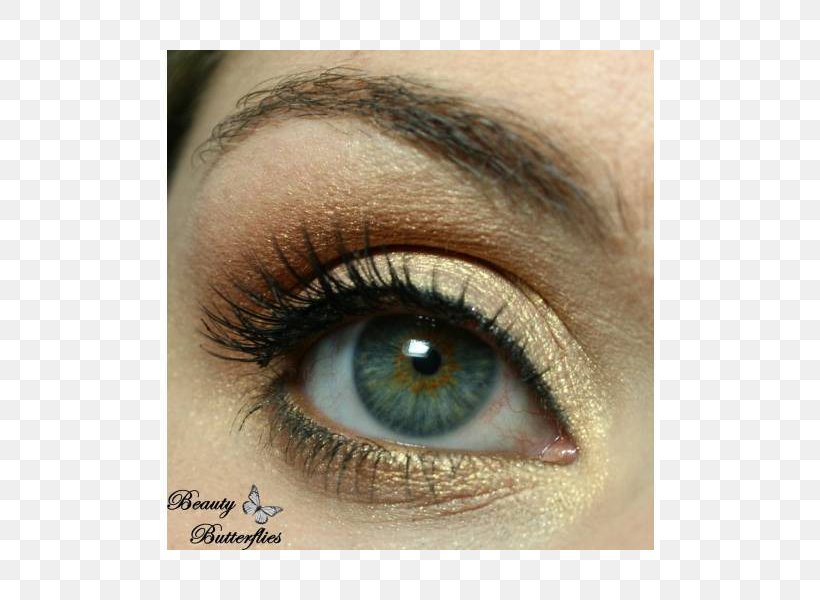 Eyelash Extensions Eye Shadow Eye Liner Cosmetics, PNG, 800x600px, Watercolor, Cartoon, Flower, Frame, Heart Download Free