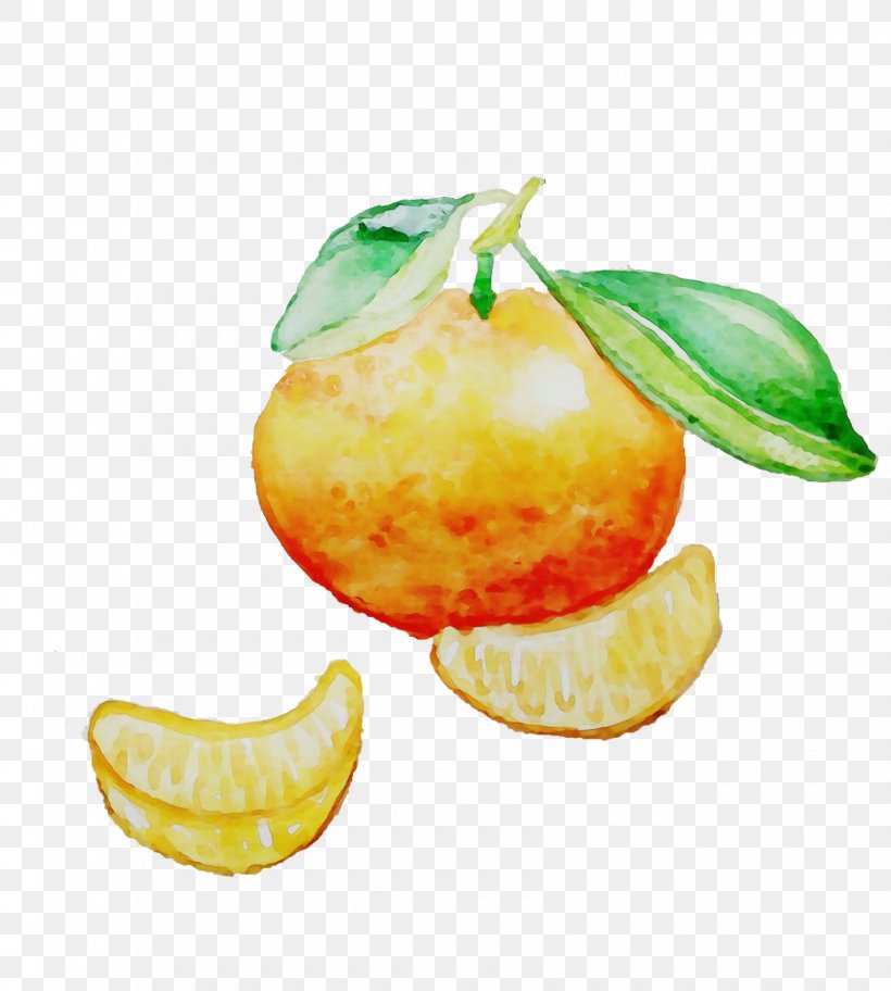 Fruit Food Citrus Plant Tangerine, PNG, 1680x1869px, Watercolor, Accessory Fruit, Citrus, Food, Fruit Download Free