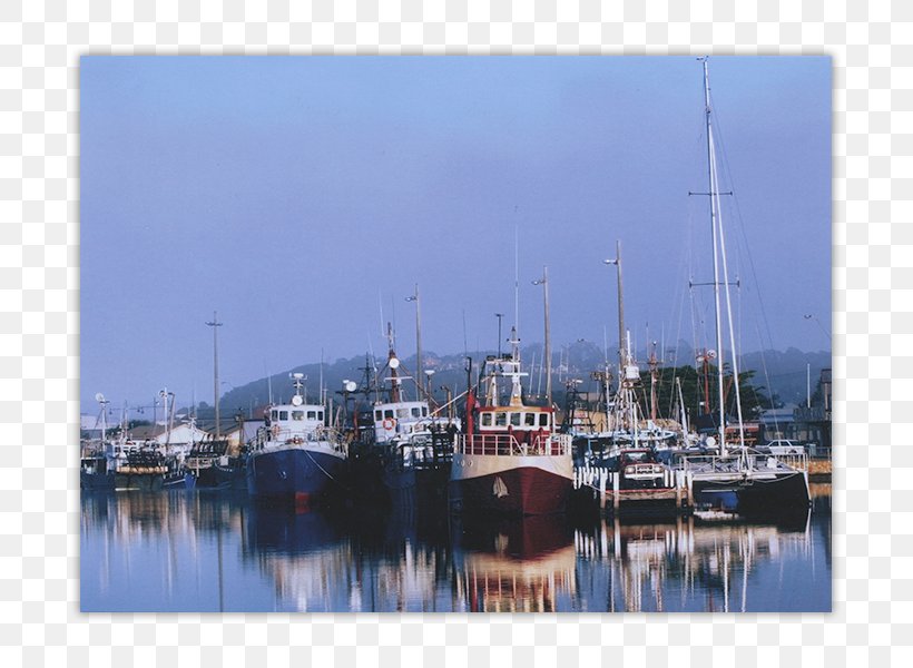 Marina Boat Port Ship Channel M, PNG, 800x600px, Marina, Boat, Calm, Channel, Channel M Download Free