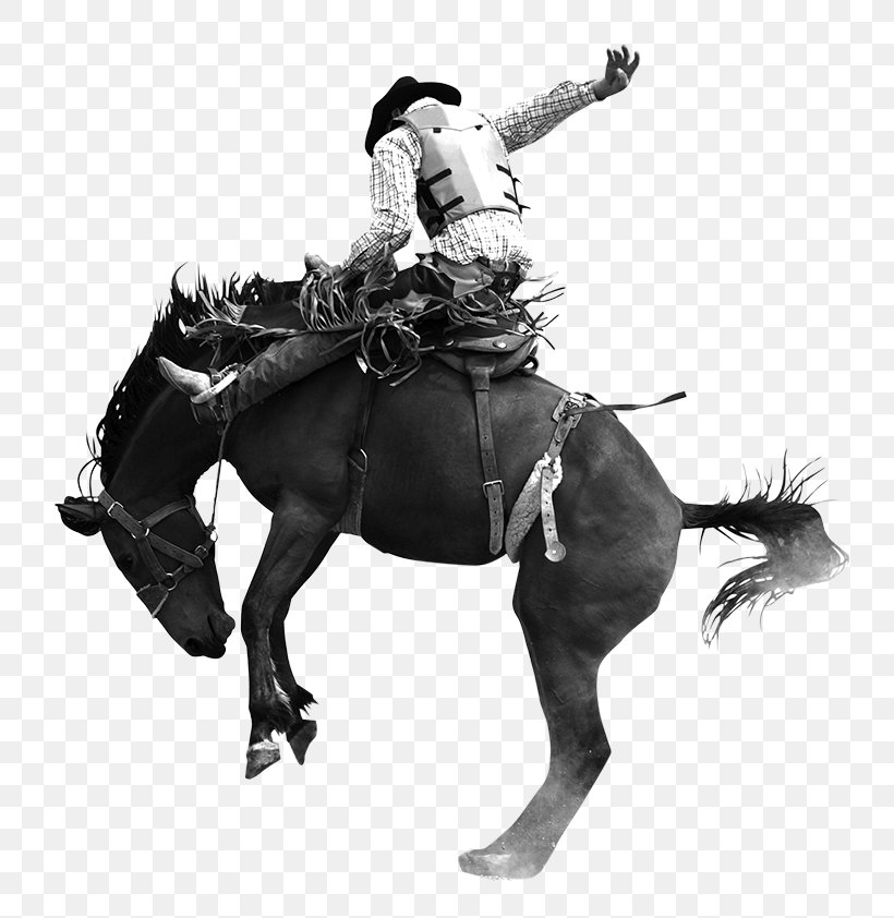 Miles City Bucking Horse Sale Bronco Equestrian, PNG, 800x842px, Horse, Barrel Racing, Black And White, Bridle, Bronc Riding Download Free