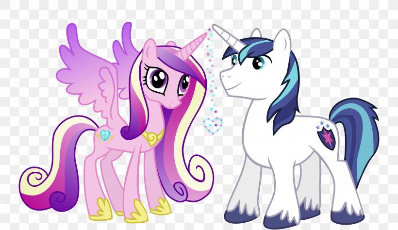 Princess Cadance Shining Armor Twilight Sparkle Pony Princess Celestia, PNG, 2432x1406px, Watercolor, Cartoon, Flower, Frame, Heart Download Free