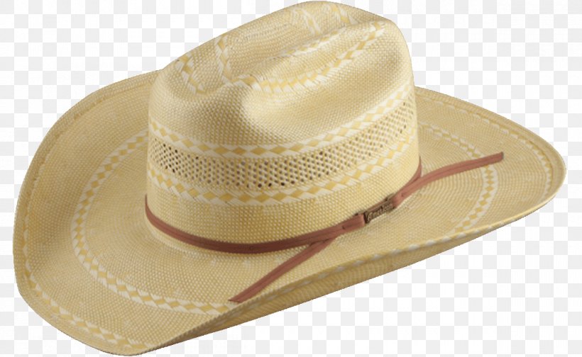 Straw Hat Color American Hat Company, PNG, 1200x738px, Hat, American Hat Company, Color, Fashion Accessory, Headgear Download Free