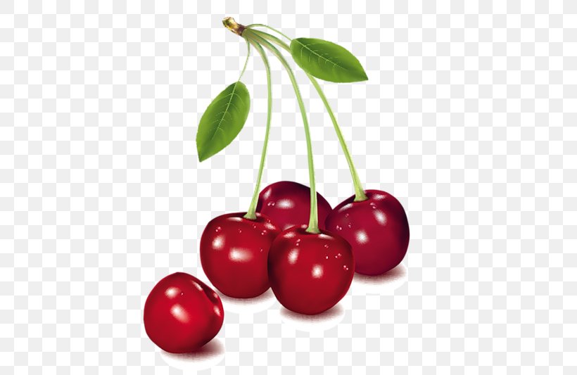 Cordial Barbados Cherry Clip Art, PNG, 800x533px, Cordial, Acerola, Acerola Family, Barbados Cherry, Berry Download Free