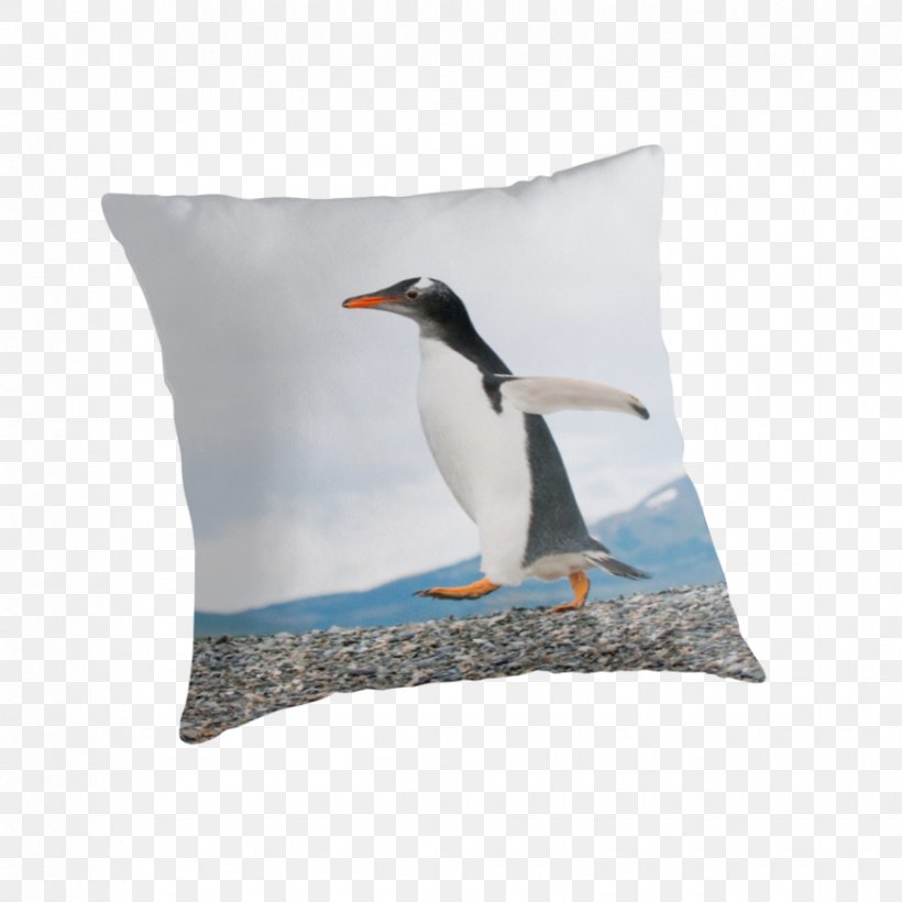 L'Amaldi.blu Cushion Throw Pillows School, PNG, 875x875px, Cushion, Beak, Bird, Flightless Bird, Penguin Download Free