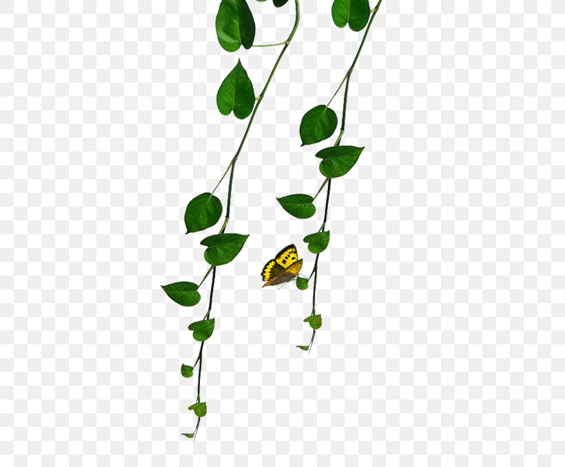 Green Plant, PNG, 502x678px, Green, Animation, Branch, Color, Designer Download Free