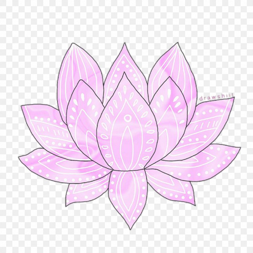 Petal Flower Transparency And Translucency Drawing, PNG, 1024x1024px, Petal, Drawing, Flora, Floral Design, Flower Download Free