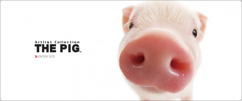 Pig Farming Pig Farming Clip Art, PNG, 938x394px, Pig, Baidu Tieba, Baidu Wangpan, Farm, Fetal Pig Download Free