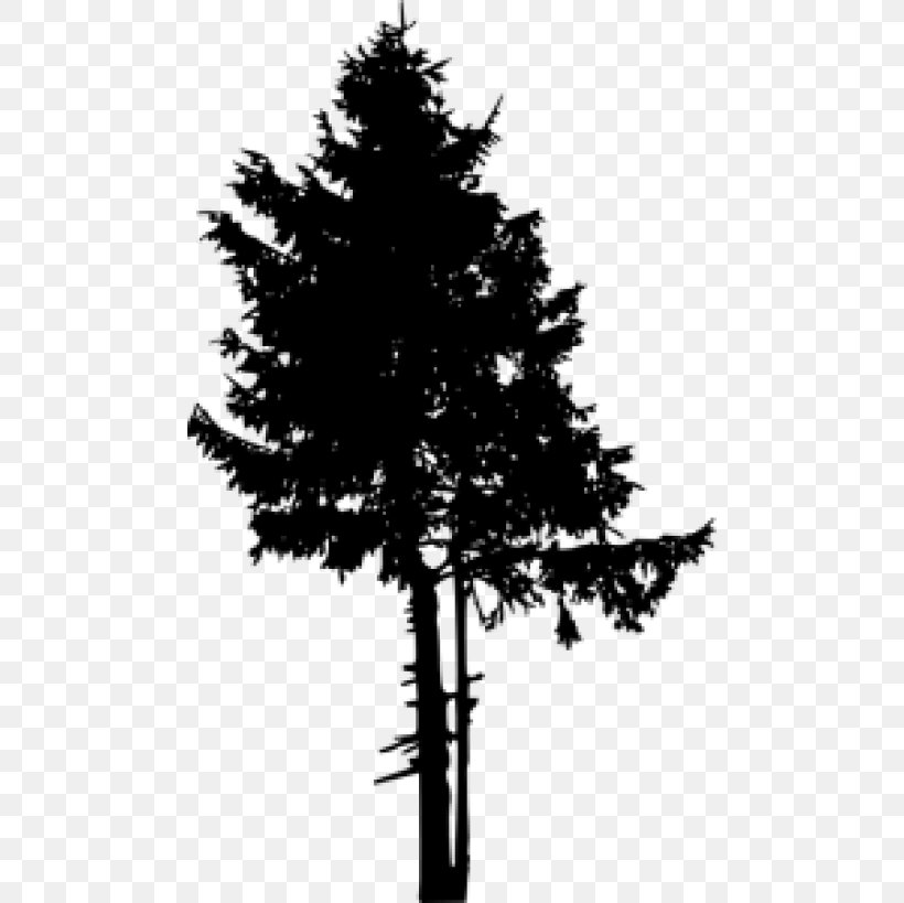 Pine Clip Art Silhouette Tree, PNG, 480x819px, Pine, American Larch, Art, Balsam Fir, Bigtree Download Free
