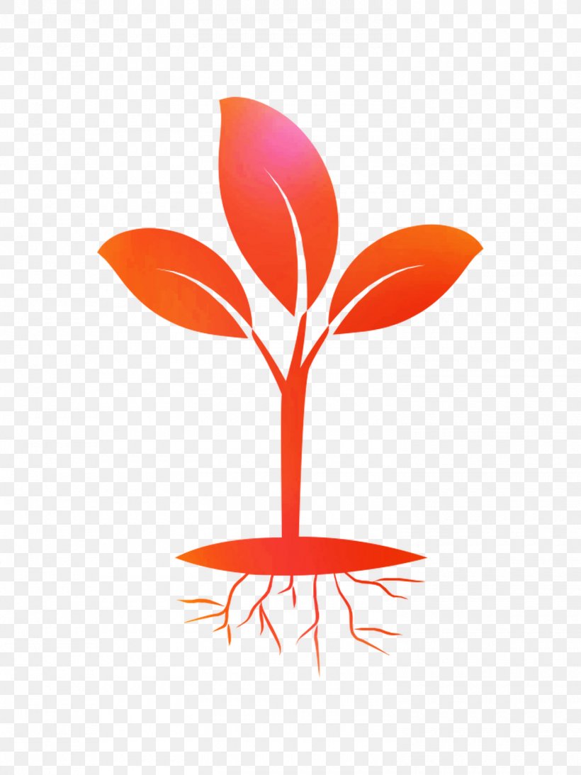 Seedling Clip Art Root, PNG, 1500x2000px, Seedling, Botany, Flower, Leaf, Logo Download Free