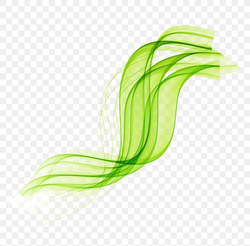 Vector Graphics Euclidean Vector Royalty-free Image Illustration, PNG, 804x804px, Royaltyfree, Color, Grass, Green, Plant Stem Download Free