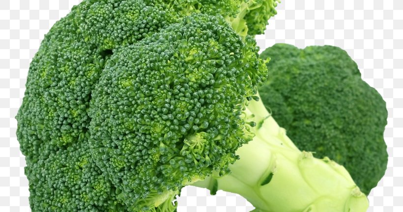 Broccoli Sprouts Vegetable Cauliflower Curly Kale, PNG, 768x432px, Broccoli, Broccoli Sprouts, Cabbage, Cabbages, Cauliflower Download Free