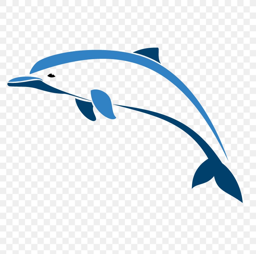Oceanic Dolphin Porpoise, PNG, 805x812px, Oceanic Dolphin, Art, Beak, Bird, Blowhole Download Free