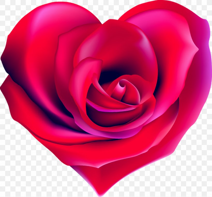 Heart Rose Shape Drawing, PNG, 900x836px, Heart, Close Up, Color, Cut Flowers, Drawing Download Free