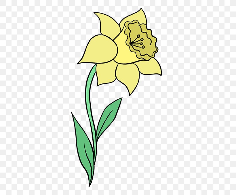 How To Draw Drawing Daffodil Botanical Illustration Watercolor Painting, PNG, 680x678px, How To Draw, Amaryllis Family, Art, Botanical Illustration, Botany Download Free