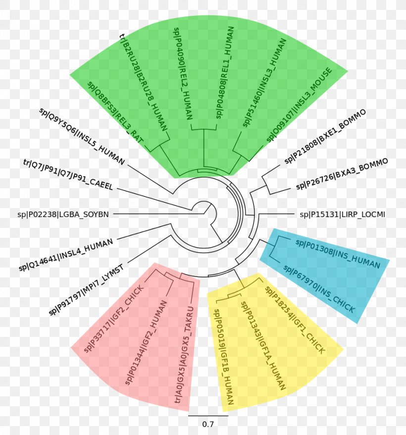 Line Angle Material Diagram, PNG, 956x1024px, Material, Diagram, Green, Text Download Free