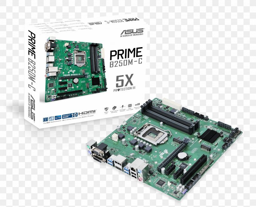 MicroATX LGA 1151 CPU Socket Asus PRIME B250M-PLUS Motherboard, PNG, 2913x2362px, Microatx, Asus, Atx, Computer, Computer Component Download Free
