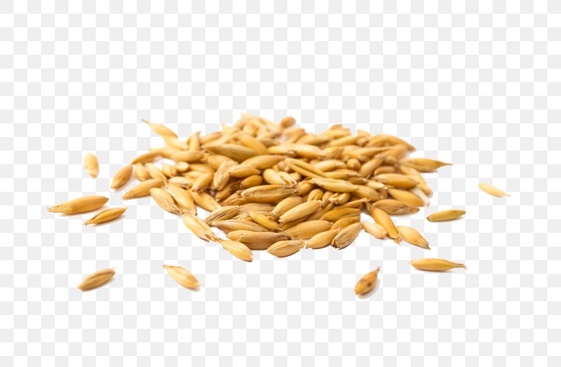 Oat Pasta Cereal Emmer Food, PNG, 800x536px, Oat, Ancient Grains, Avena, Bran, Cereal Download Free