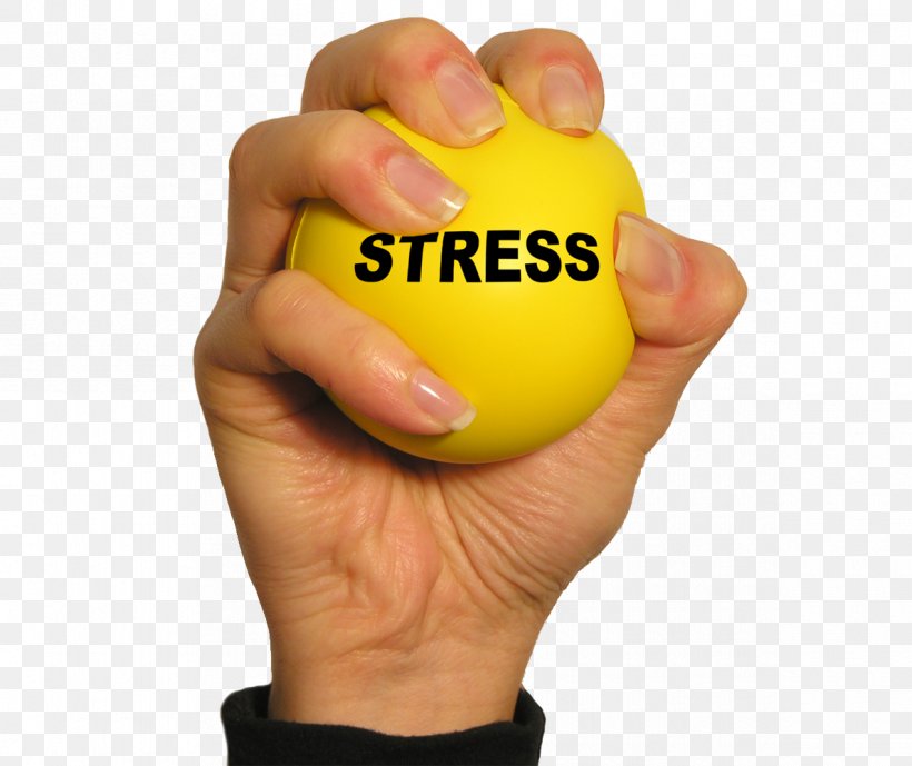 Stress Management Deal With Stress Stress Ball Occupational Stress, PNG, 1190x1000px, Stress Management, Adrenal Fatigue, Ball, Doctor Of Philosophy, Finger Download Free