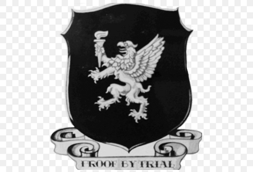 United States Army Air Forces 1st Proving Ground Group United States Army Air Corps Air Armament Center, PNG, 500x559px, United States Army Air Forces, Air Force, Badge, Brand, Emblem Download Free