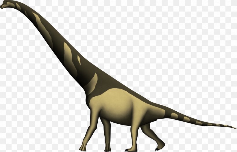 Cedarosaurus Utahraptor Apatosaurus Brachiosaurus Dinosaur, PNG, 2446x1574px, Cedarosaurus, Apatosaurus, Barremian, Brachiosauridae, Brachiosaurus Download Free