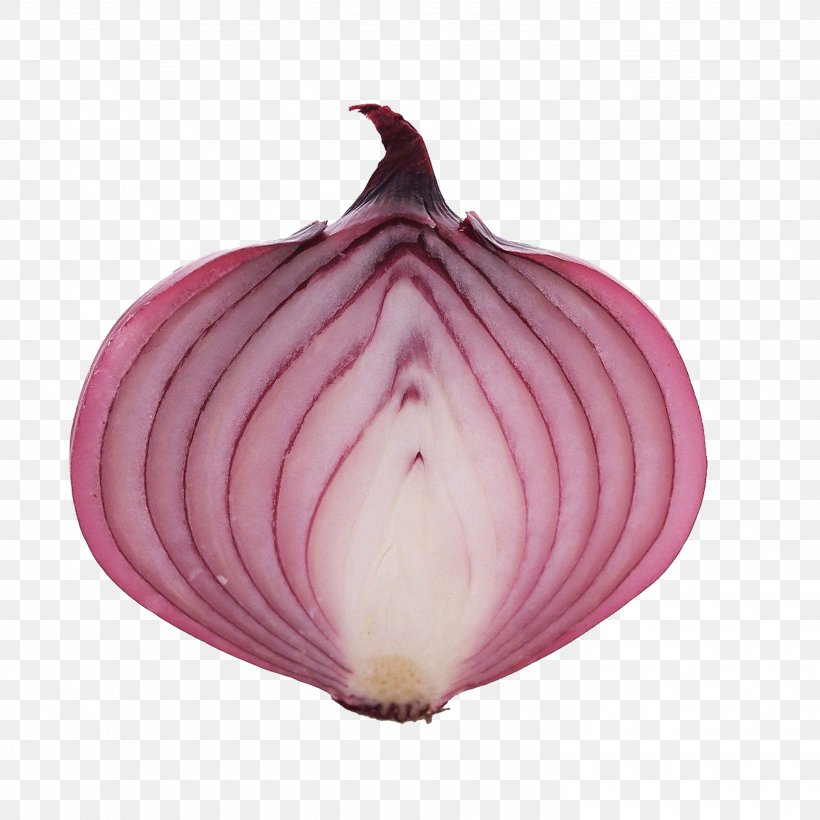 China Onion Vegetable, PNG, 2953x2953px, China, Data, Food, Frontend Engineering, Health Download Free