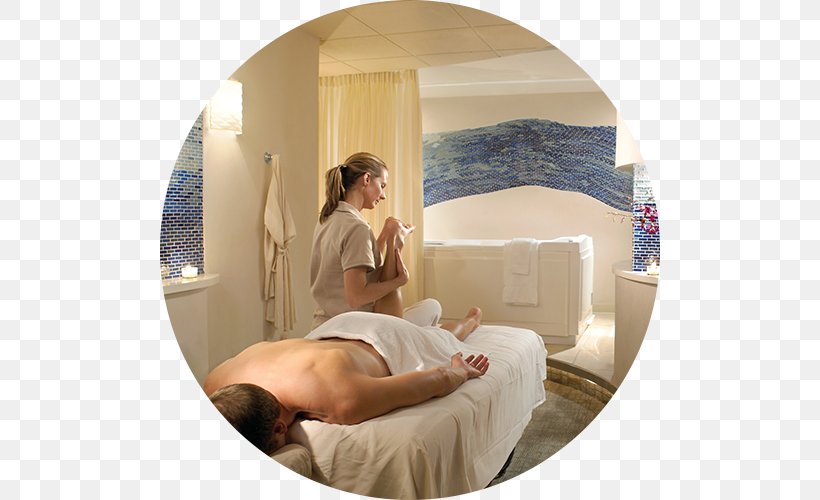 Destination Spa Canyon Ranch Hotel Health, Fitness And Wellness, PNG, 500x500px, Spa, Bed, Business, Canyon Ranch, Comfort Download Free