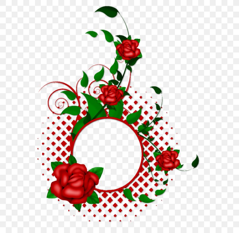 Floral Design Picture Frames Flower Clip Art, PNG, 658x800px, Floral Design, Aquifoliaceae, Artwork, Border Flowers, Christmas Decoration Download Free