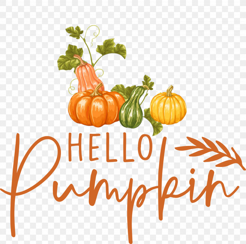 Hello Pumpkin Autumn Thanksgiving, PNG, 3000x2968px, Autumn, Fruit, Gourd, Local Food, Meter Download Free