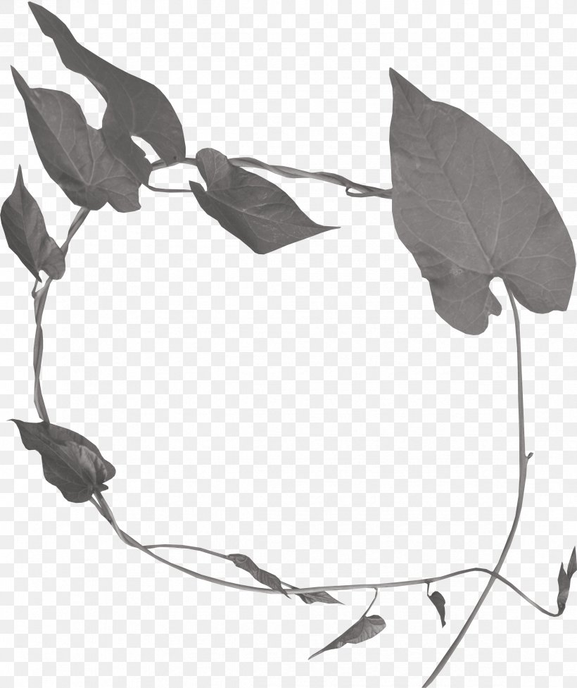 Leaf Wreath Black And White, PNG, 2342x2793px, Leaf, Black And White, Branch, Google Images, Grey Download Free