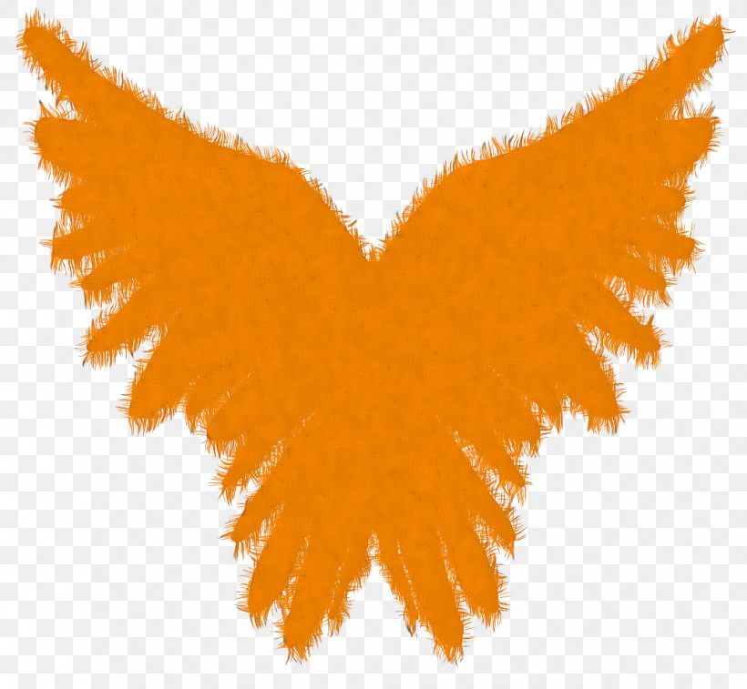 Orange, PNG, 1033x954px, Orange, Leaf, Wing, Yellow Download Free