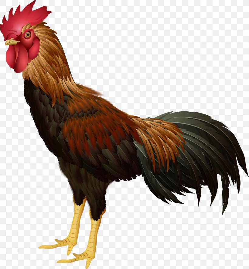 Rooster Chicken Bird Clip Art, PNG, 1740x1888px, Rooster, Beak, Bird, Cartoon, Chicken Download Free