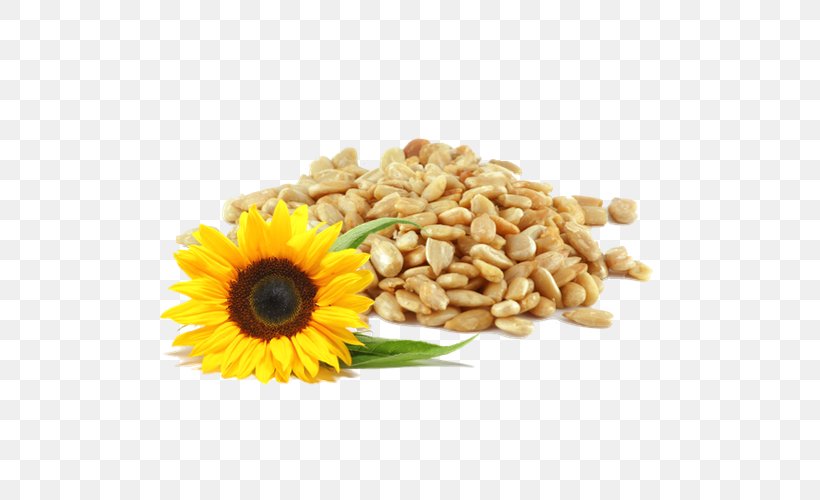 Sunflower Seed Common Sunflower Bird Food Horse, PNG, 500x500px, Sunflower Seed, Bird, Bird Food, Commodity, Common Sunflower Download Free