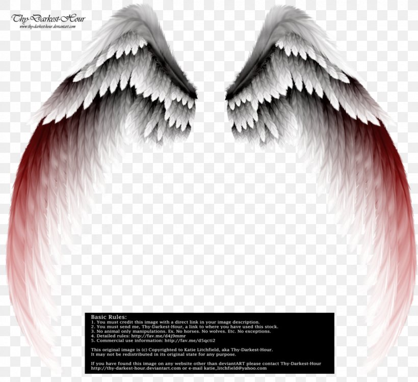 Angel Clip Art, PNG, 1024x937px, Angel, Eye, Eyelash, Eyelash Extensions, Face Download Free