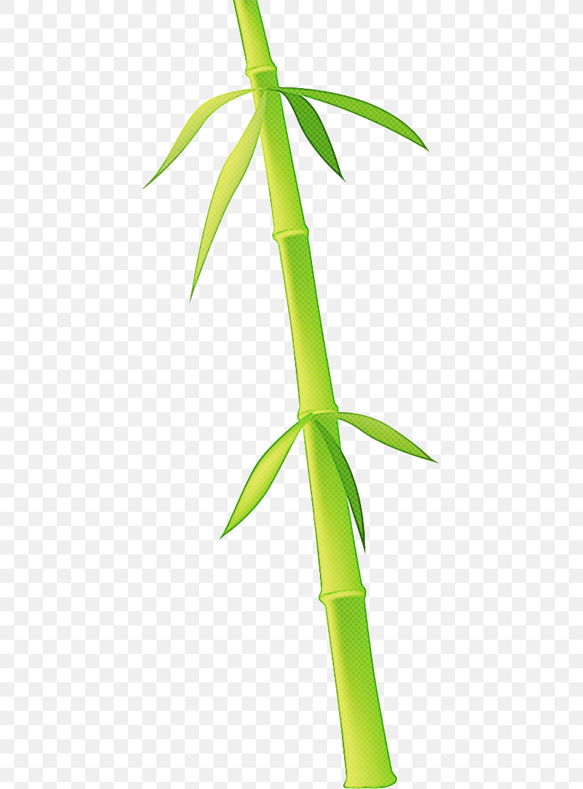 Bamboo, PNG, 423x1110px, Bamboo, Flower, Leaf, Plant, Plant Stem Download Free