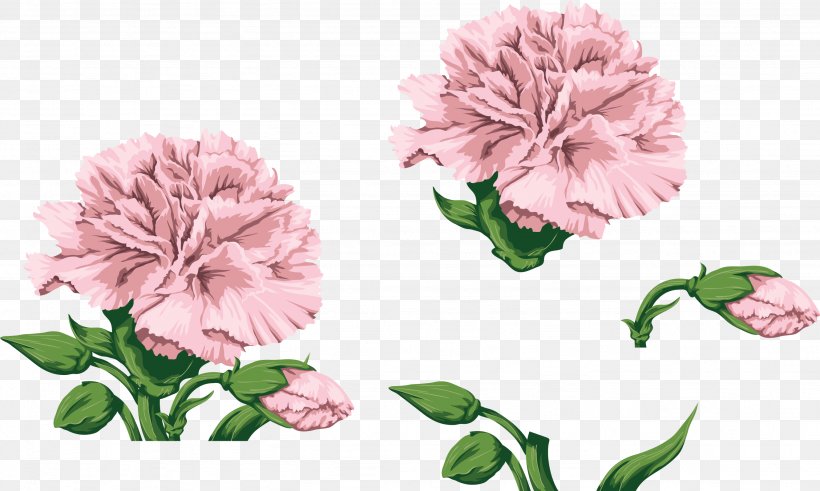 Carnation Flower Sweet William Clip Art, PNG, 2663x1596px, Carnation, Annual Plant, Cut Flowers, Dianthus, Floral Design Download Free