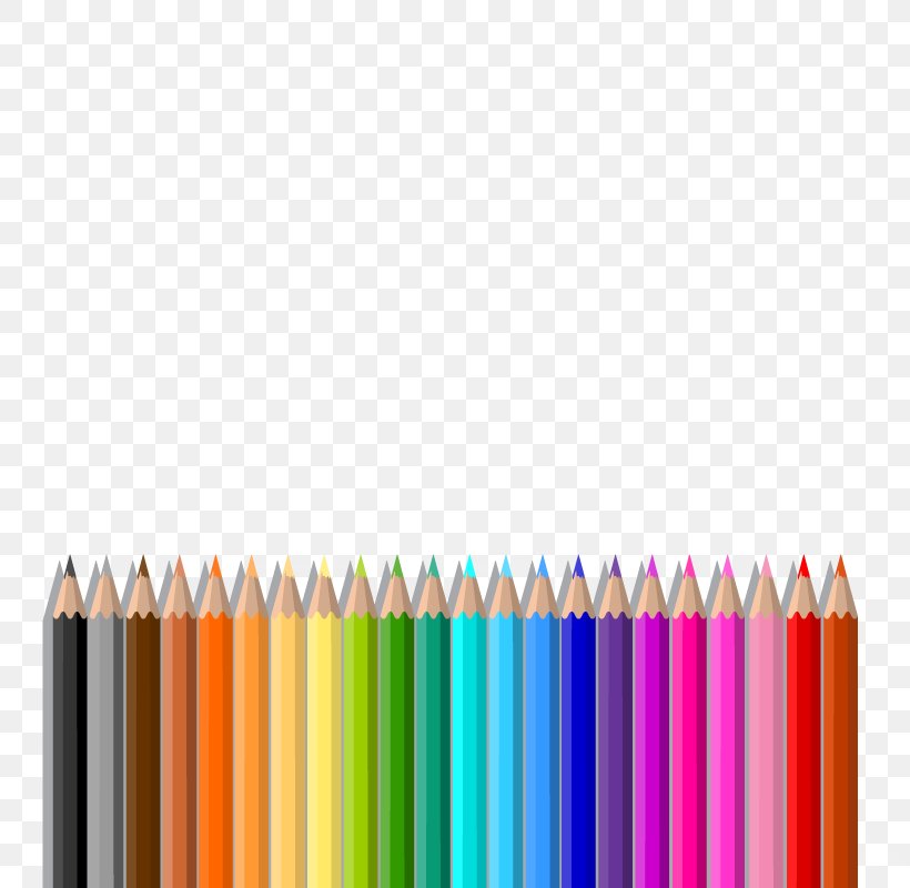 Crayon Colored Pencil, PNG, 800x800px, Crayon, Colored Pencil, Designer, Office Supplies, Pencil Download Free
