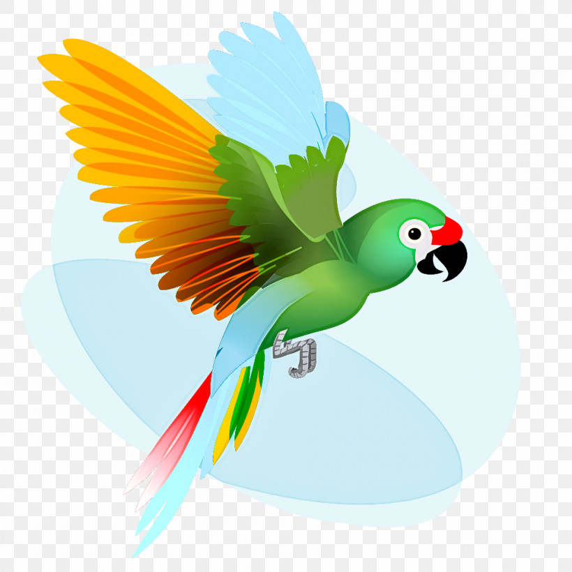 Lovebird, PNG, 1000x1000px, Macaw, Beak, Birds, Drawing, Feather Download Free