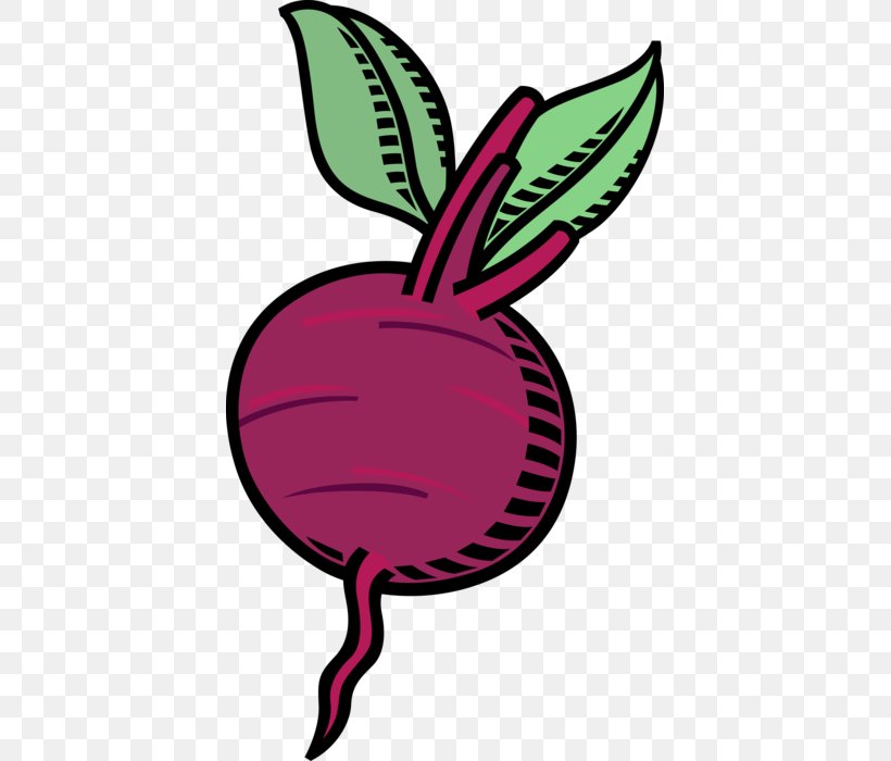 Clip Art Beetroots Image Vector Graphics, PNG, 403x700px, Beetroot, Artwork, Beetroots, Cake, Cooking Download Free