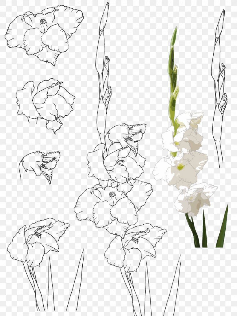 Floral Design Gongbi Flower Gladiolus Xd7gandavensis, PNG, 900x1200px, Floral Design, Art, Artwork, Black And White, Branch Download Free