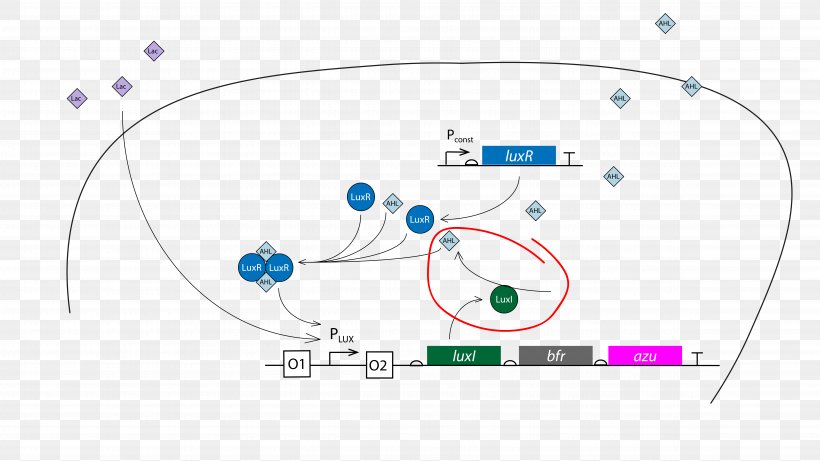 Graphic Design Brand Diagram Circle, PNG, 9487x5334px, Brand, Area, Blue, Communication, Computer Download Free