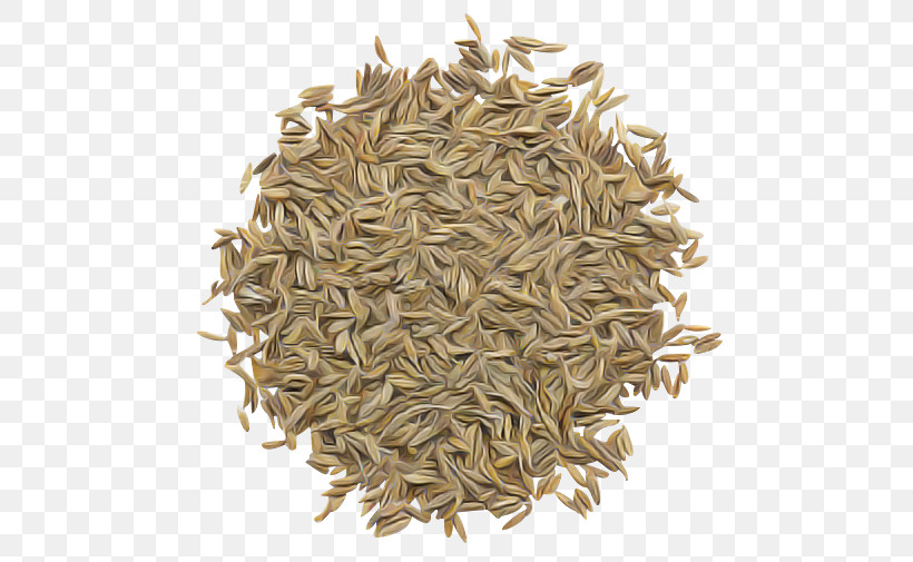 Plant Cumin Parsley Family Food Seed, PNG, 506x505px, Plant, Cumin, Food, Parsley Family, Seed Download Free