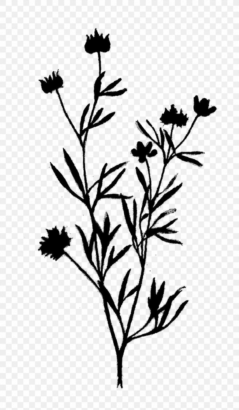 Twig Plant Stem Flower Leaf Font, PNG, 932x1600px, Twig, Blackandwhite, Botany, Branch, Flower Download Free