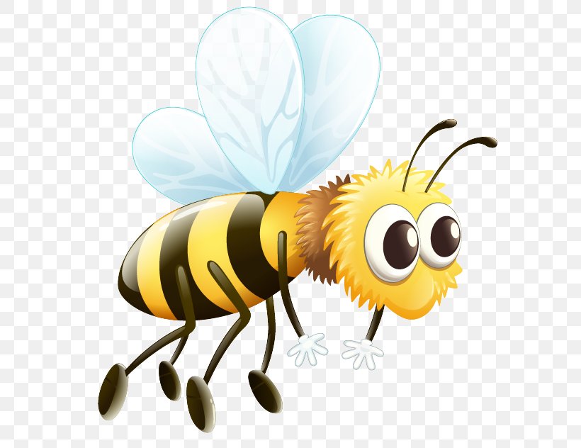 Western Honey Bee Vector Graphics Clip Art Drone, PNG, 641x632px, Bee, Arthropod, Beehive, Drawing, Drone Download Free