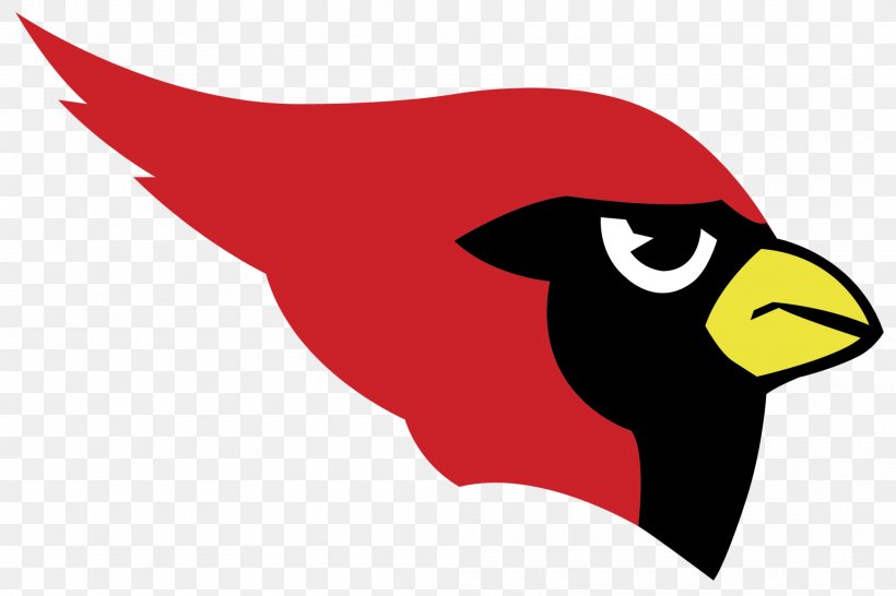 Harlingen High School South Brownsville St. Louis Cardinals San Benito High School, PNG, 2000x1333px, Harlingen High School, Art, Beak, Bird, Brownsville Download Free