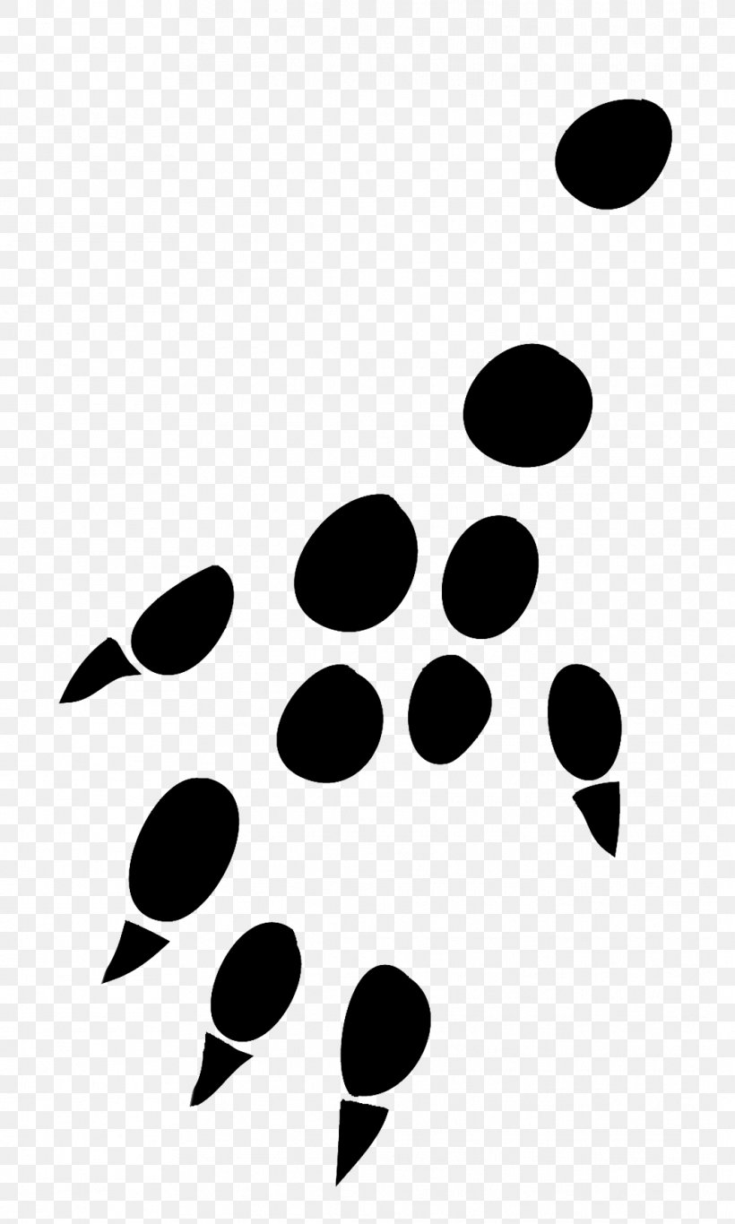 Hedgehog Paw Mouse Malinois Dog Rat, PNG, 1063x1772px, Hedgehog, Animal, Animal Track, Black, Black And White Download Free