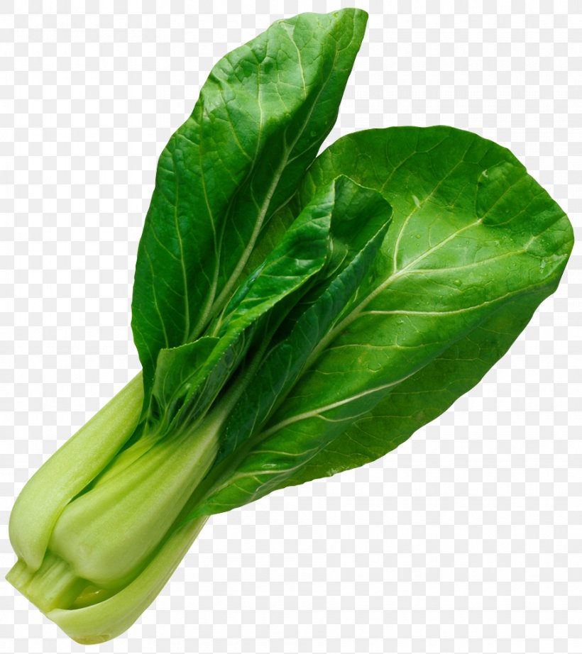 Leaf Vegetable Salad Spinach, PNG, 910x1024px, Vegetable, Basil, Cabbage, Chard, Chinese Cabbage Download Free