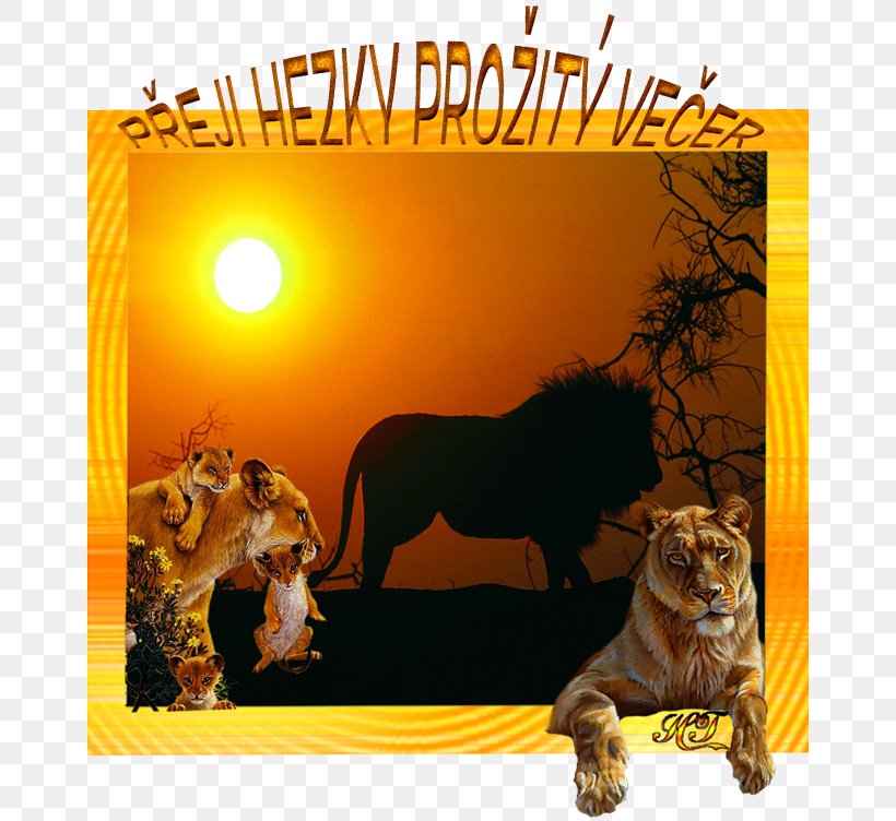 Lion Big Cat Wildlife Fauna, PNG, 666x752px, Lion, Big Cat, Big Cats, Carnivoran, Cat Download Free