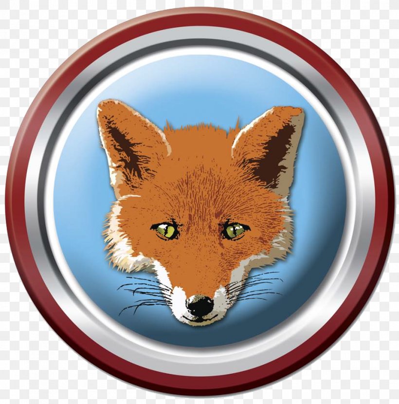 Red Fox Snout Fox News, PNG, 952x964px, Red Fox, Carnivoran, Dog Like Mammal, Fox, Fox News Download Free