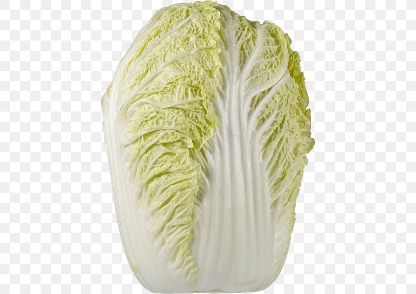 Savoy Cabbage Leaf Vegetable Brassica Oleracea, PNG, 580x580px, Savoy Cabbage, Brassica Oleracea, Cabbage, Food, Leaf Vegetable Download Free